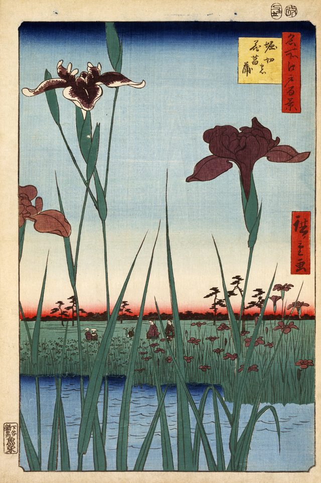 堀切の花菖蒲(歌川広重(名所江戸百景・1857年))